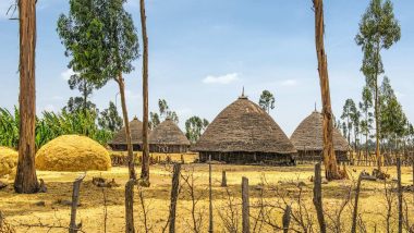 Oromo Online – Level 1