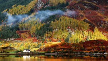 Scottish Gaelic Online – Level 1