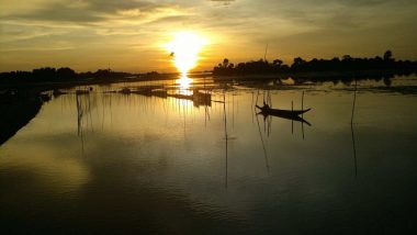 Bengali Online – Level 1