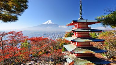 Japanese Online – (Business)