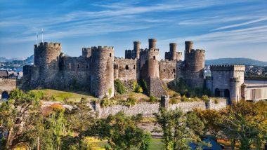 Welsh Online – Level 1